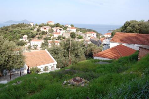 Back garden &amp; view