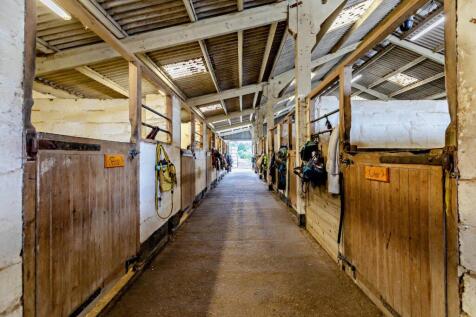 Stables