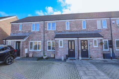 3R5A5031.jpg
