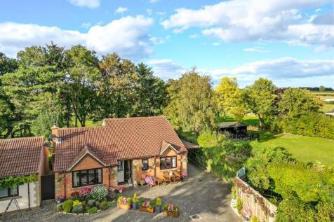 DJI_0318.jpg
