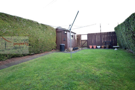 garden 2 .JPG
