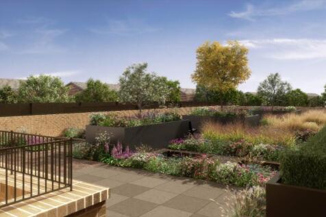Communal Garden2