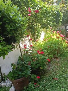 WhatsApp Image 2025-