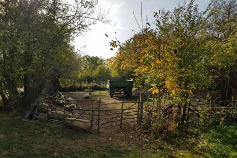 A fenced outdoor space featuring sheep resting beneath trees and a green trailer parked at the rear, surrounded by autumn foliage.