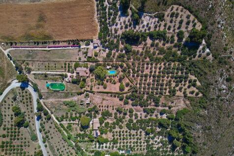 Property Image 25