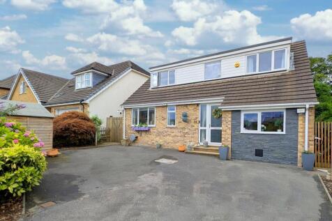 PXL_20250721_121938064_inPixio