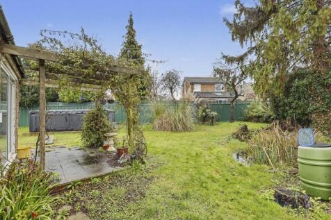 Patio and Garden