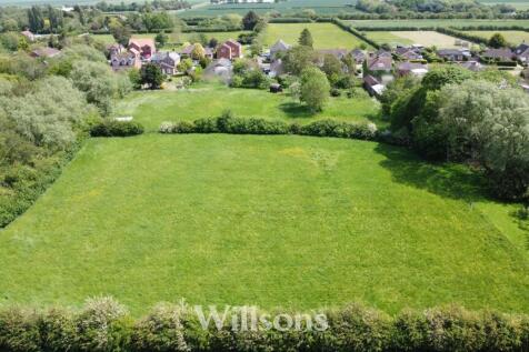 Grazing Paddocks