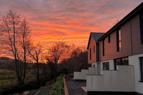 Sunset Rear
