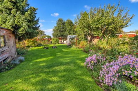 Rear Garden  (5).png