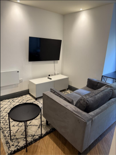LIVING ROOM 1 .png