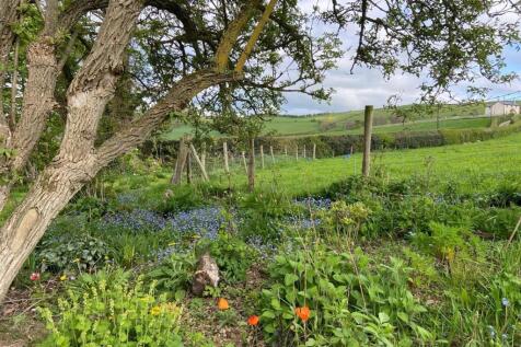 Property Image 38