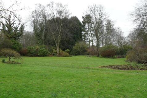 Photo 08