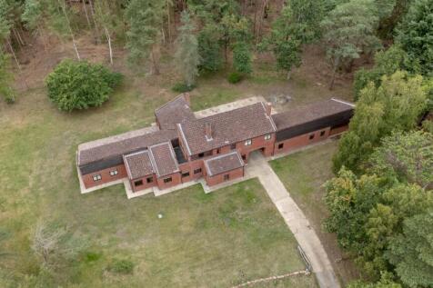 tlc_ef638b8a-3d7b-47cb-a41d-926e9860c1b5_e60d6df.j