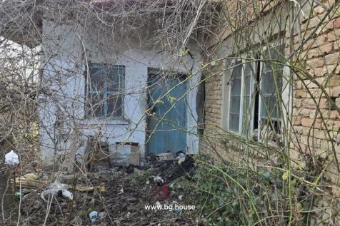The exterior wall of an old house featuring a blue door and windows, partially obscured by leafless branches and overgrown plants.