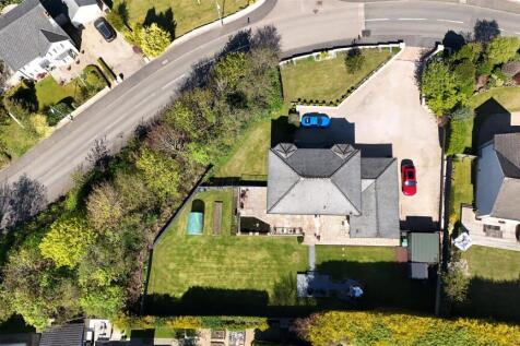 Ariel Shot