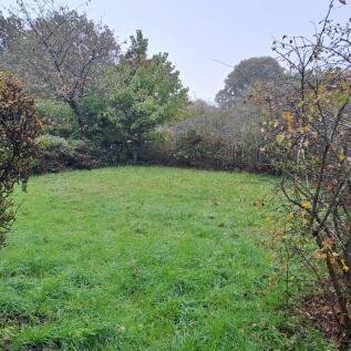Garden rear