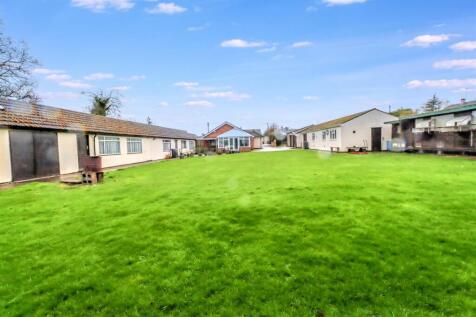 CARPE DIEM GARDEN SHOTS-8.jpg