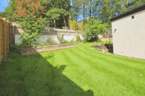 0af423e7-IMG_7645 20- 20Copy 20 282 29.JPG