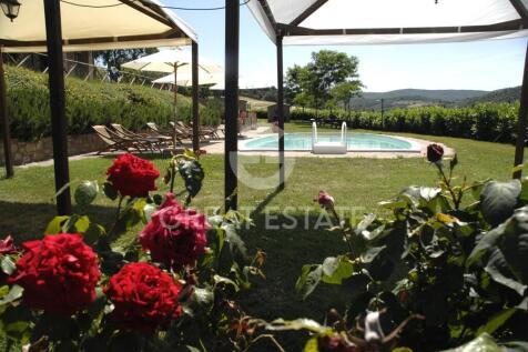 Panorama e Particolari