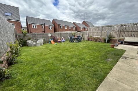 IMG_0615