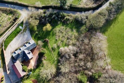 dji_fly_20260318_152500_338_1773848332697_photo_op