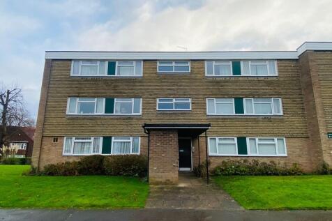 WhatsApp Image 20...