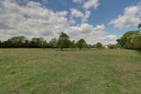 Orchard and Paddocks 