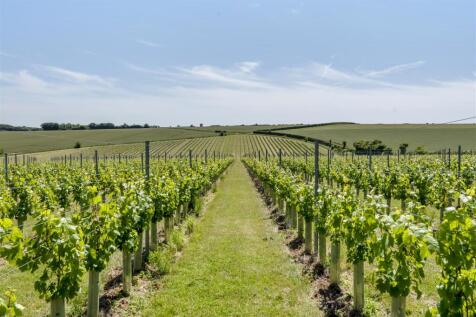 Pilgrims Nook Vineyard.jpg