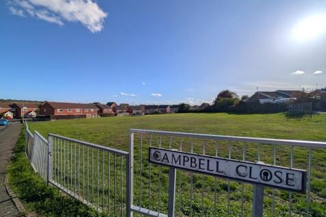 PXL_20261013_1351...