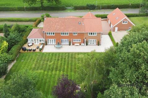 image 29