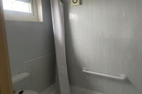 IMG 5817 T202601161119.jpeg