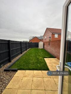 Back Garden