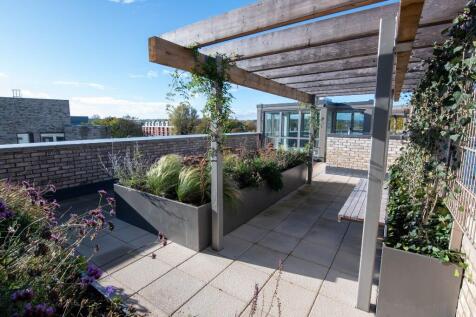Roof Top Garden
