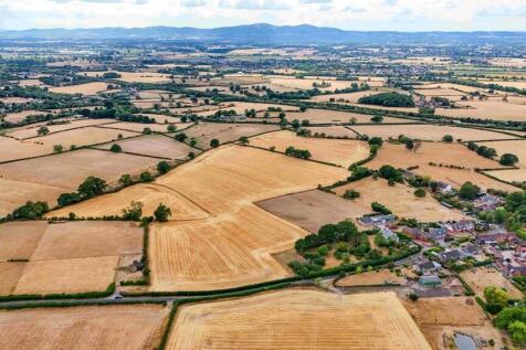 web DJI_202608141...
