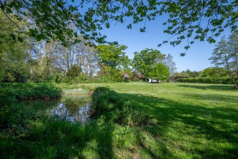Pond