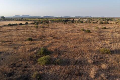View over the plot