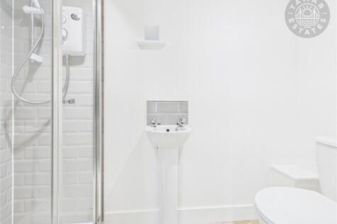 Annexe Shower Room