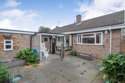 Rear Courtyard Garden
