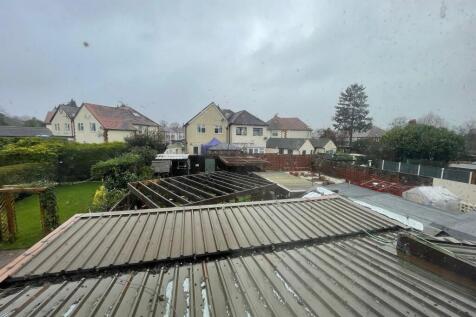 IMG 3130 T202601291311.jpeg