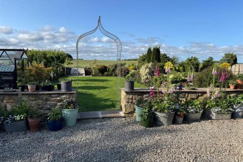 Garden 1