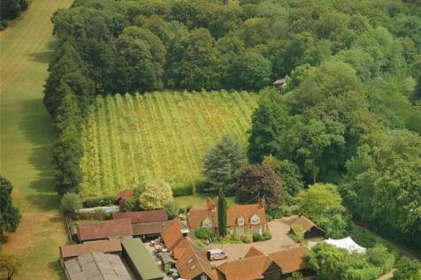Arial View