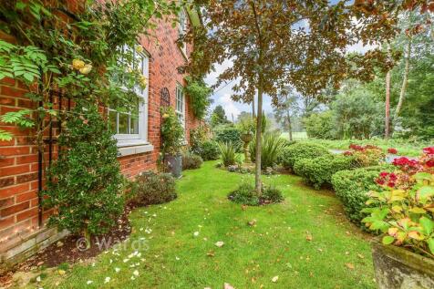 Side Garden