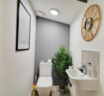 user_edited_photo-3850e7fb_user-edited-db2ab631-1a