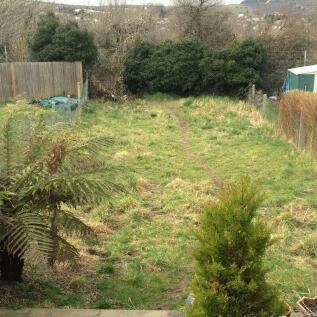 Picture No. 03