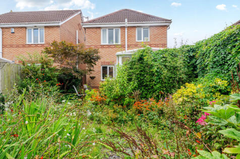 Property Image 14