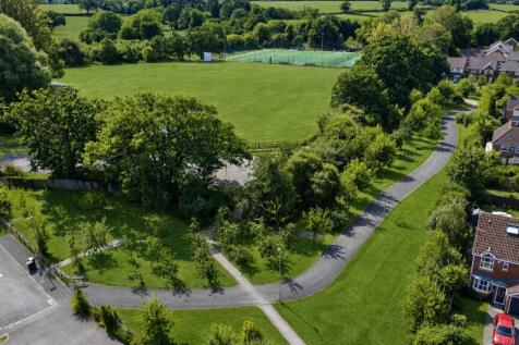 Communal area with fruit trees