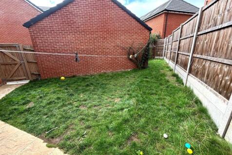 Picture 13