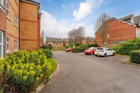 Property Image 13