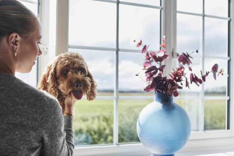 HarperCrewe - Lichfield -